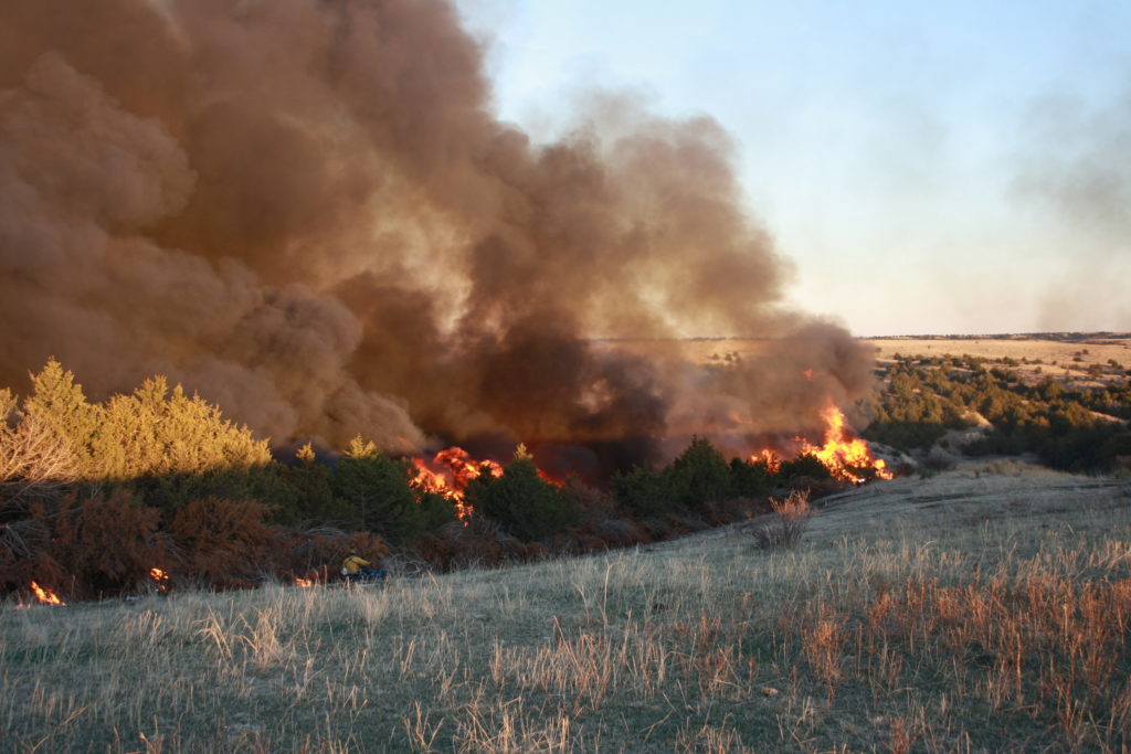 Prescribed fire in the Loess Canyons